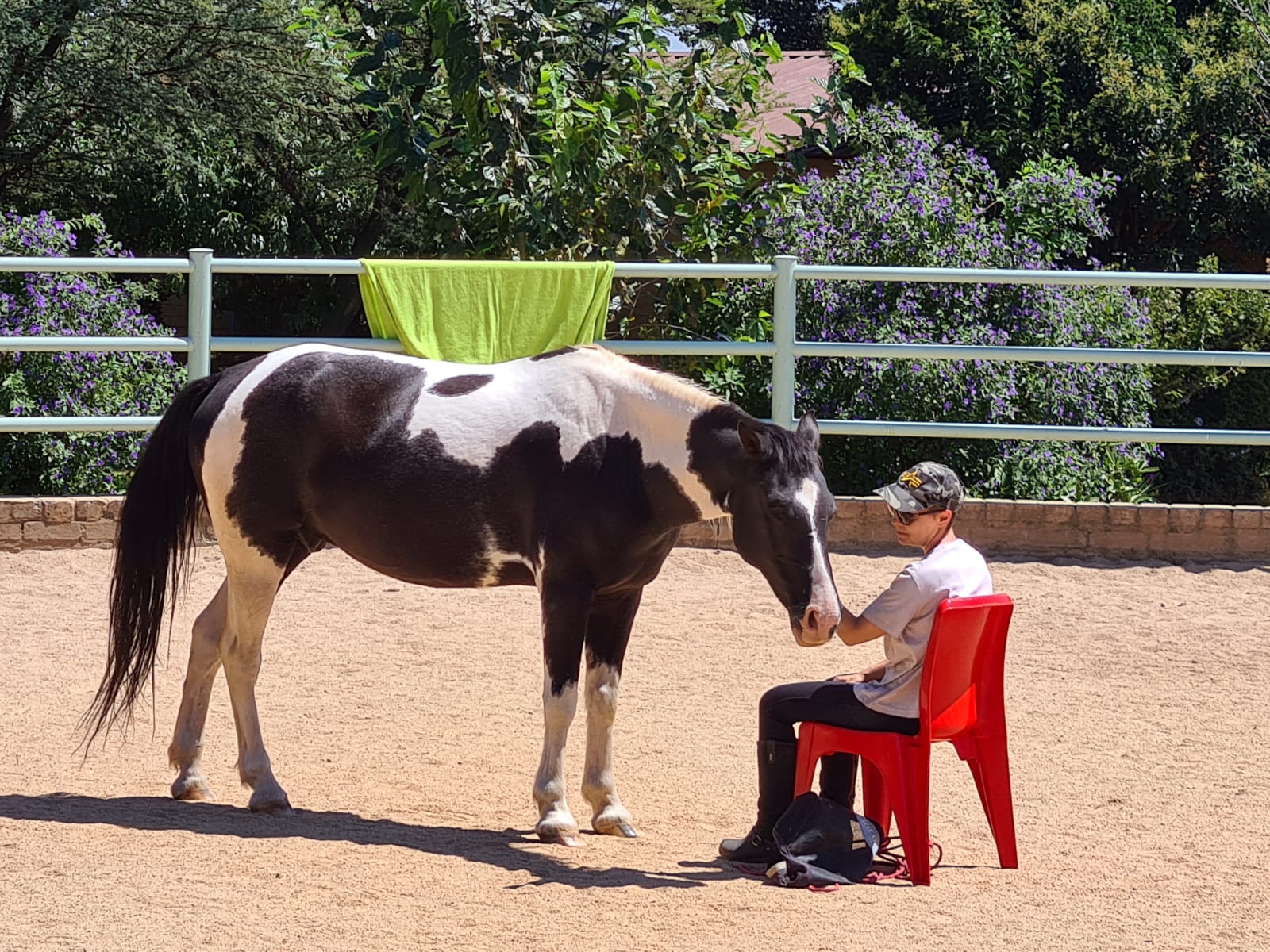 Horse therapy – Children