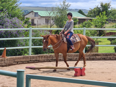 Horse riding lessons